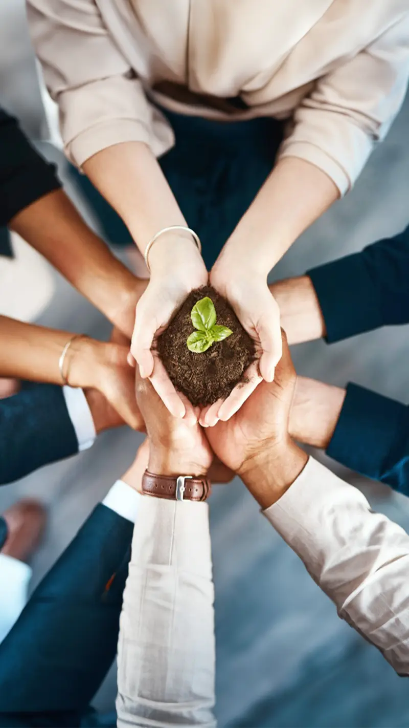 Gestão Ambiental e Sustentabilidade